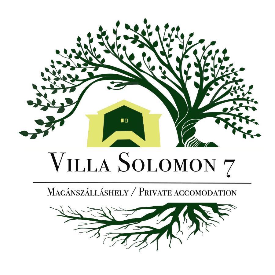 וישגרד Apartmentvillasolomon7 מראה חיצוני תמונה